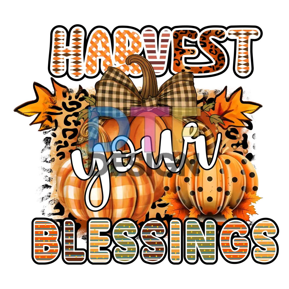 Harvest Your Blessings